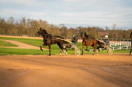 Cheval,-Chevaux,-Domaine-de-Grosbois,-Drivers,Grosbois,-Kaleidos,-Kaleidos-images,-La-parole-à-limage,-Marolles-en-Brie,-Sulky,-Tarek-Charara,-Trot,-Trotteurs